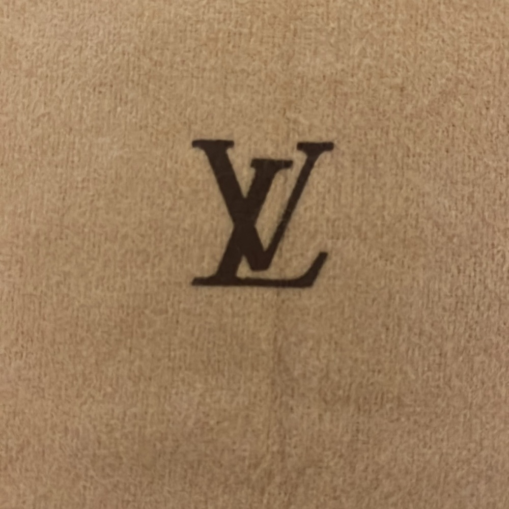 Lost in the 🔥 Louis Vuitton Dust Bag - Picture 7 of 7